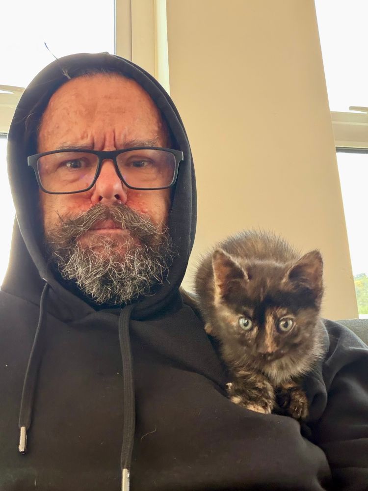 A grumpy bearded man curses the spell the cute kitten perched on his shoulder has cast on him. 