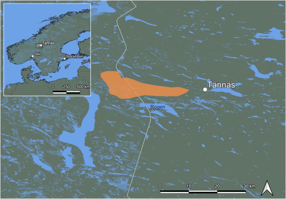 Figure 2 from Winter et al. (2025) showing the geographical extent of the year-round core area of the Swedish muskox population, with the Norwegian–Sweden border noted in white. The map was made using the software QGIS 3.34.11 based on, and updated from, Nilsson (2014).
