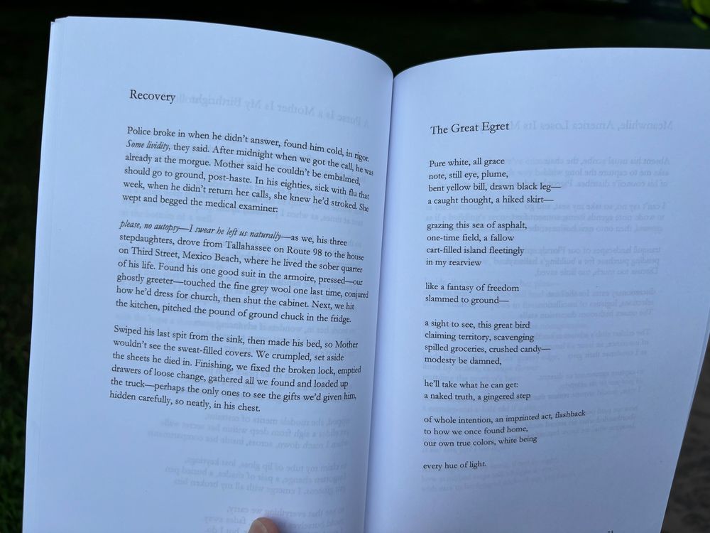 I unfortunately don't have time right now to make sure this is accurate, but here is what the copy paste function says. Sarah's poems "Recovery" and "The Great Egret"

Recovery
Police broke in when he didn't answer, found him cold, in rigot.
Some lividity, they said. After midnight when we got the call, he was already at the morgue. Mother said he couldn't be embalmed, should go to ground, post-haste. In his eighties, sick with flu that week, when he didn't return her calls, she knew he'd stroked. She wept and begged the medical examiner:
please, no autopsy—I swear he left us naturally as we, his three stepdaughters, drove from Tallahassee on Route 98 to the house on Third Street, Mexico Beach, where he lived the sober quarter of his life. Found his one good suit in the armoire, pressed-our ghostly greeter-touched the fine grey wool one last time, conjured how he'd dress for church, then shut the cabinet. Next, we hit the kitchen, pitched the pound of ground chuck in the fridge.
Swiped his last spit from the sink, then made his bed, so Mother wouldn't see the sweat-filled covers. We crumpled, set aside the sheets he died in. Finishing, we fixed the broken lock, emptied drawers of loose change, gathered all we found and loaded up the truck-perhaps the only ones to see the gifis we'd given him, hidden carefully, so neatly, in his chest.

The Great Egret
Pure white, all grace note, still eye, plume,
bent yellow bill, drawn black leg a caught thought, a hiked skirt—
grazing this sea of asphalt, one-time field, a fallow cart-filled island fleetingly in my rearview
like a fantasy of freedom slammed to ground-
a sight to see, this great bird claiming territory, scavenging spilled groceries, crushed candy— modesty be damned,
he'll take what he can get: a naked truth, a gingered step
of whole intention, an imprinted act, flashback to how we once found home, our own true colors, white being
every hue of light.