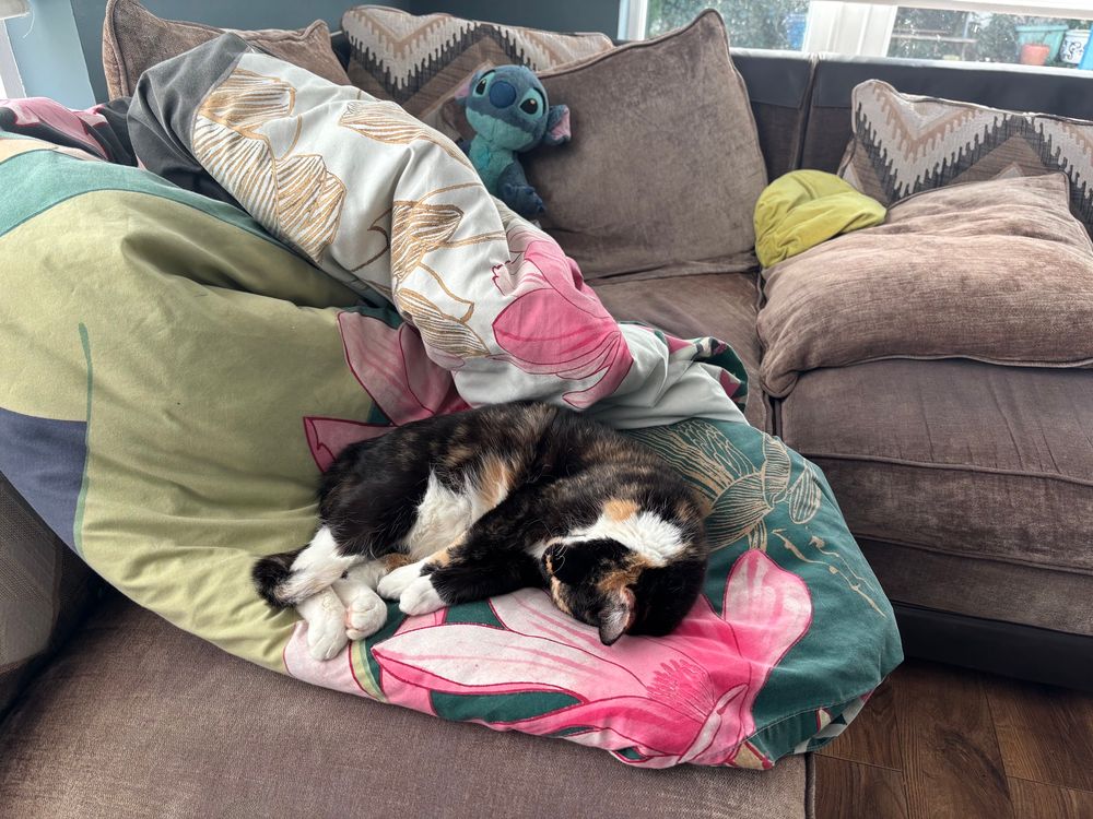 A very sleepy calico cat stretched on a colourful quilt thrown on a regrettably messy couch. A stuffed Stitch toy watches silently in the background. 