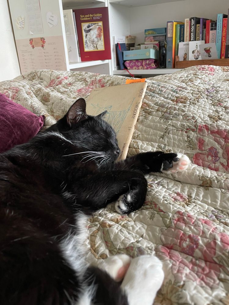 A tuxedo cat sleeps blissfully, resting his head on a copy of Hesiod’s Theogony, a work of Ancient Greek mythography.