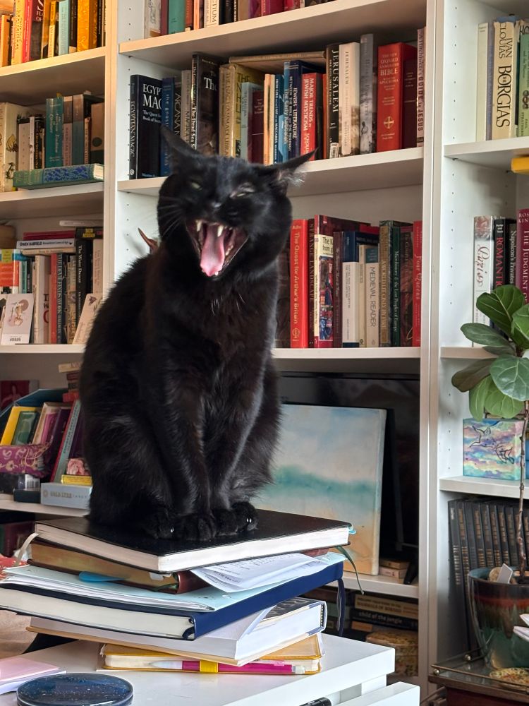 A black cat sits perched on a pile of books.  She is in the middle of a big yawn and her bared fangs make her look like a vampire demon.