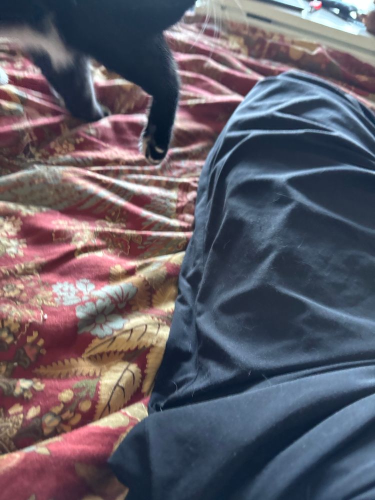 A shot of the same background with the legs and tail of a tuxedo cat just visible as he leaves the scene in a huff.