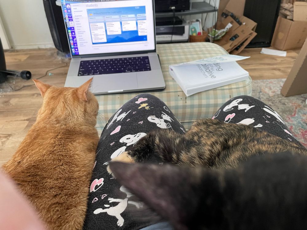 In the background, a computer and a book on an ottoman with beige and blue checks. Tortoiseshell cat on right on top on lap with Snoopy pajamas. Orange tabby next to left leg.