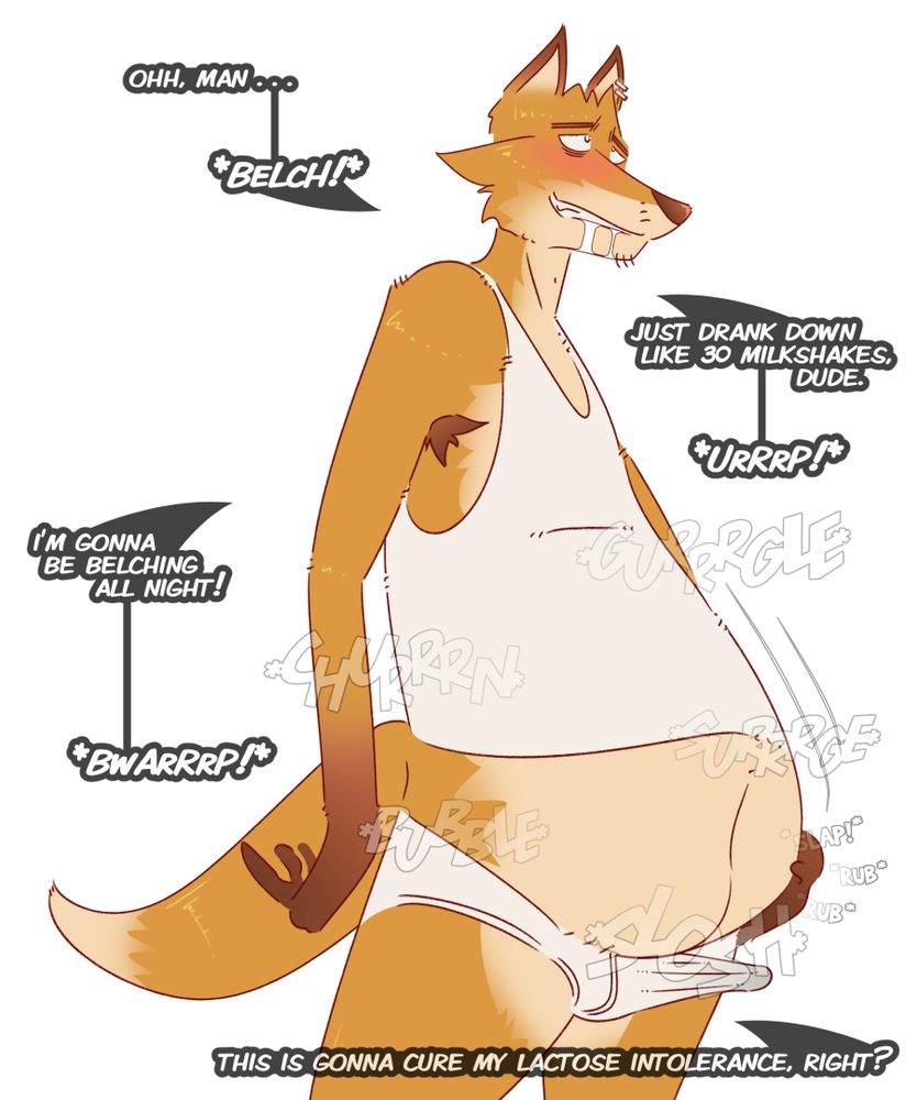 Blushing and belching, a plump anthro fox in briefs and a tanktop is grinning while slapping and rubbing his paunch, an erection visible through his underwear; he says he just drank 30 milkshakes and asks if it's going to cure his lactose intolerance.