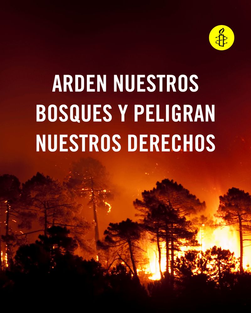Arden nuestros bosques y nuestros derechos