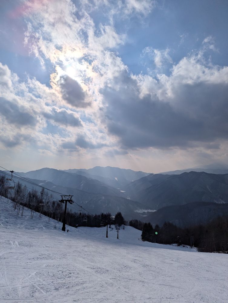 梯子が架かってるのを眺めながら今シーズン終了