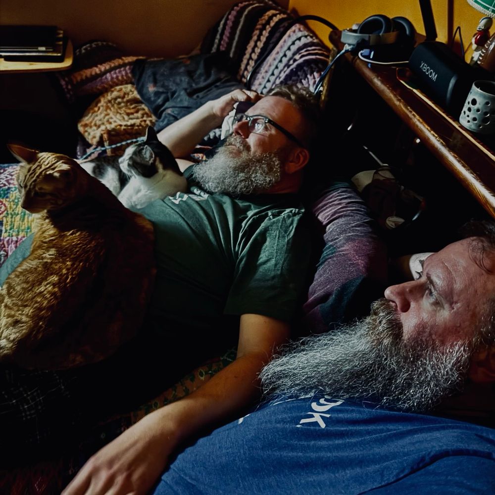 Two bearded men lying in bed with two cats staring at a TV screen away from the camera lens.