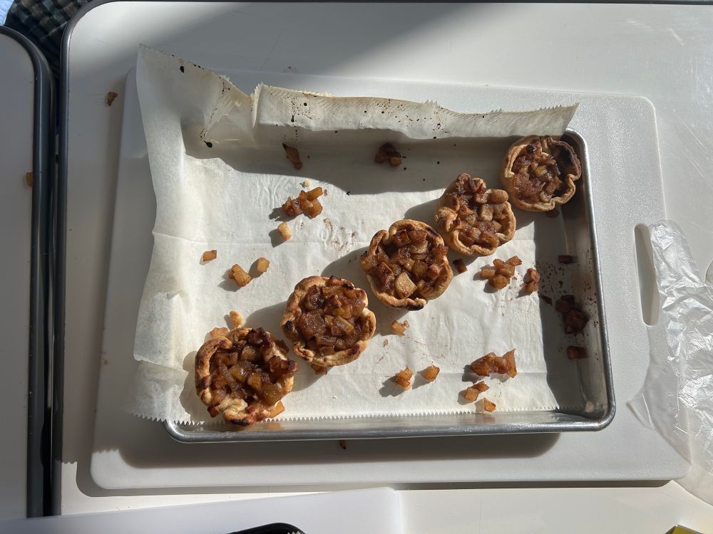 5 golden brown apple tarts arranged in a diagonal line