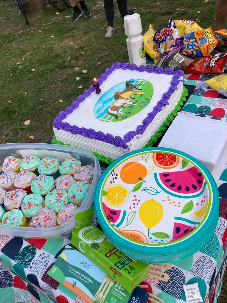 A table set with paper plates and napkins. A cake decorated with horses and a container of cupcakes.