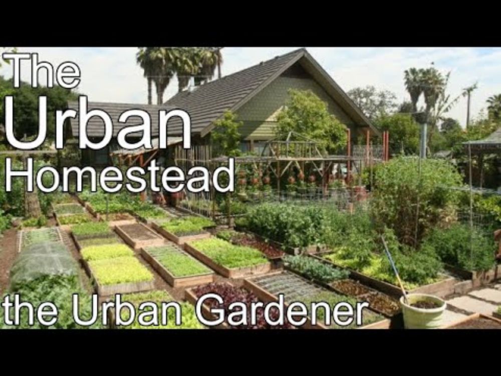 Dervaes Family Farm | The Urban Homestead | Episode 94