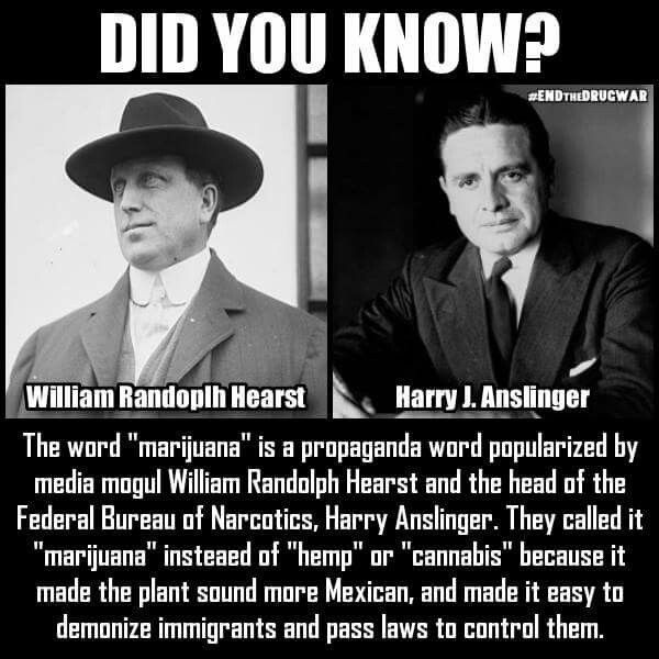 Did You Know?
The word "marijuana" is a propaganda word popularized by media mogul William Randolph Hearst and the head of the Federal Bureau of Narcotics, Harry Anslinger. They called it "marijuana" instead of hemp or cannabis because it made the plant sound more Mexican, and made it easy to demonize immigrants and pass laws to control them.
