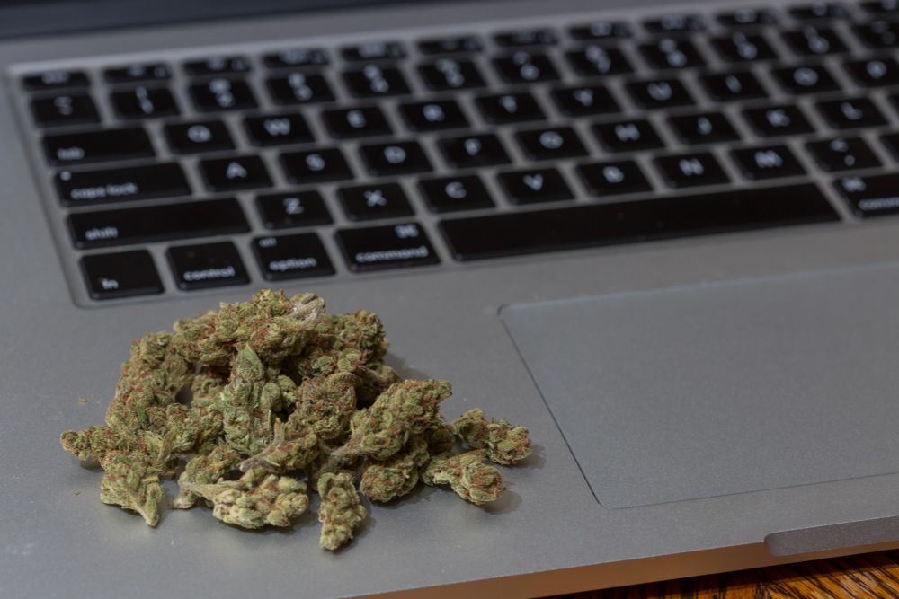 Senate-Passed Social Media Bill Could Muzzle Drug Policy Advocacy And Put Privacy At Risk, ACLU Says - Marijuana Moment