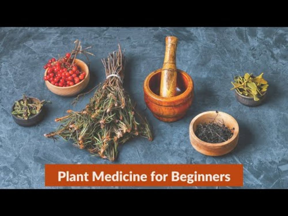 Plant Medicine for Beginners | Linda Black Elk