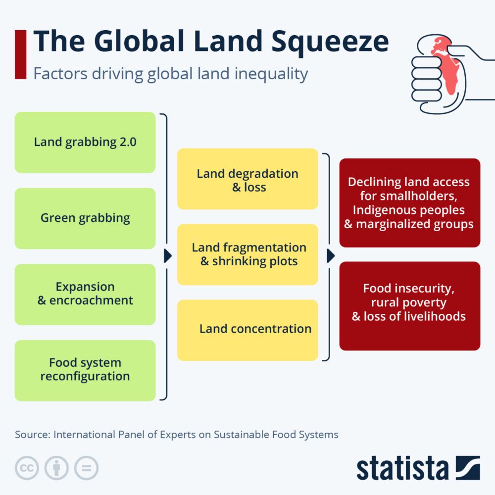 Infographic: The Global Land Squeeze