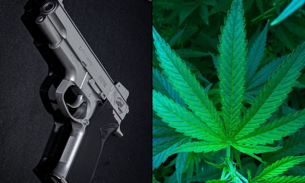 DOJ Says Allowing A Pennsylvania Prosecutor Who Uses Medical Marijuana To Possess A Gun Would Be 'Dangerous' - Marijuana Moment