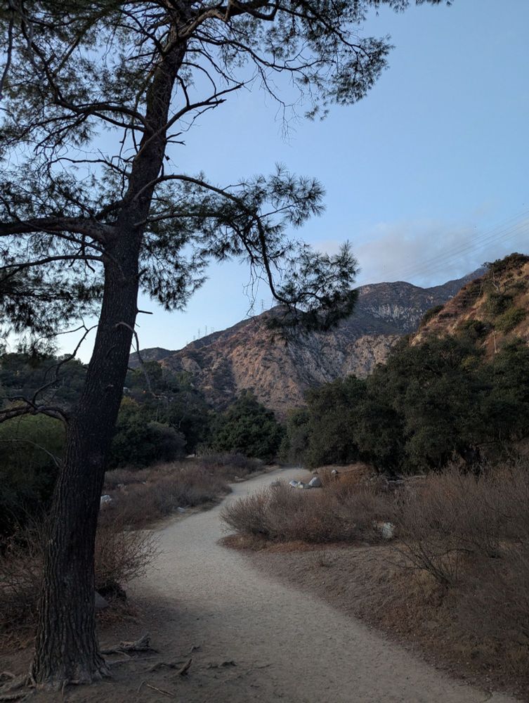 A dirt path in the center of the frame winds right away from a tall pine tree and toward green shrubs and mountains in the distance.