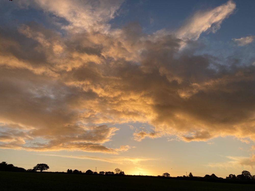 a goldeny lumpy cloud sky, with some blue and sun just about to rise, skinny strip of filed and hedgerow at bottom