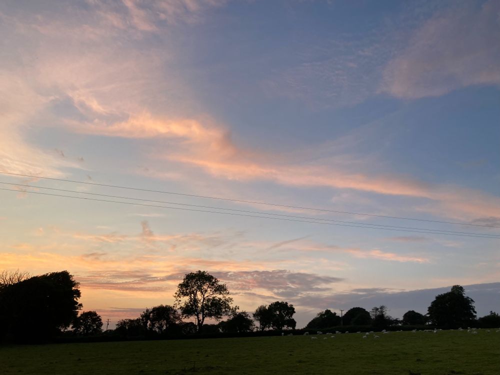 a field with sheep just visible, silhouette of trees , then 3/4 sky, soft blue with whisps of peachy clouds, some dove grey low down. just visible thin line of three wires from centre left going down a little to right