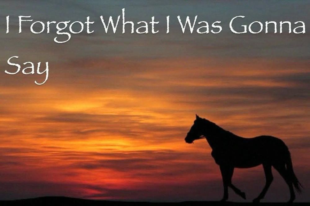 i forgot what i was gonna say