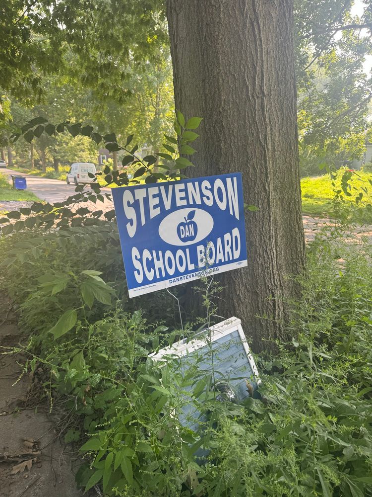 A Dan Stevenson for School Board sign on top of a stray cat house in an overgrown yard