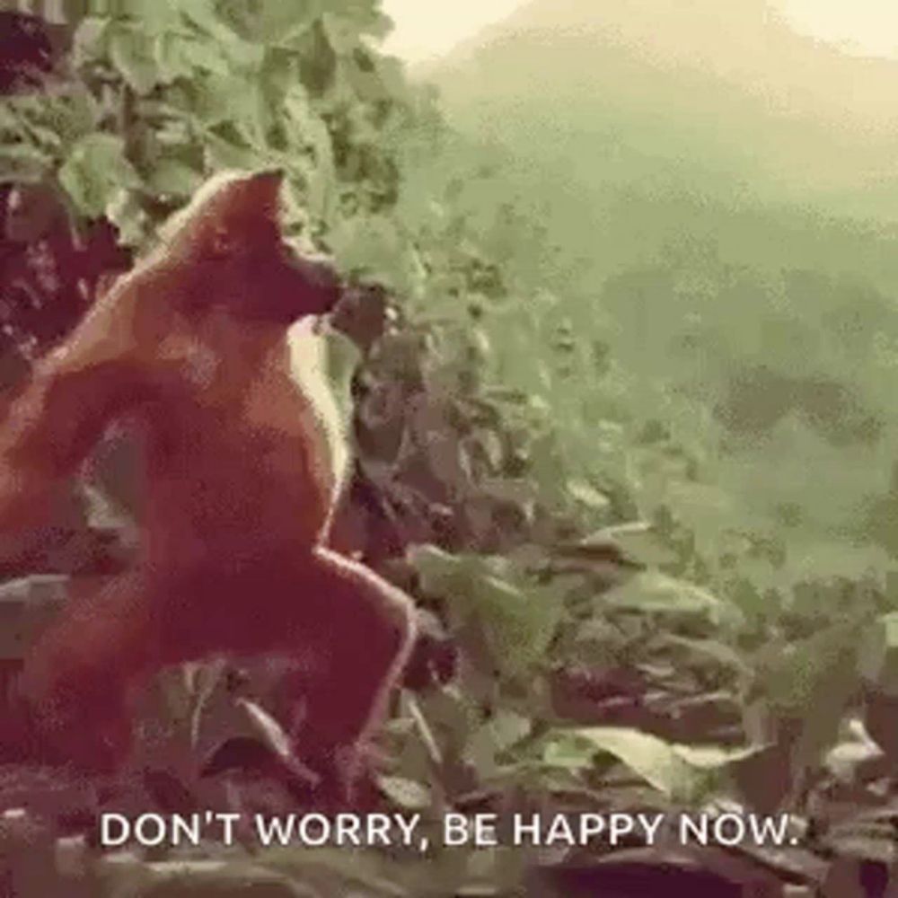 a monkey is sitting in the woods with the words `` don t worry , be happy now '' .