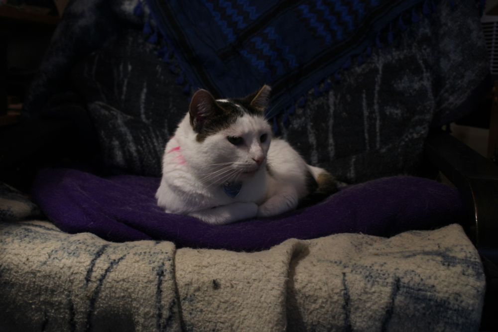 A princess rests upon her throne, surveying the kingdom that will one day be hers.