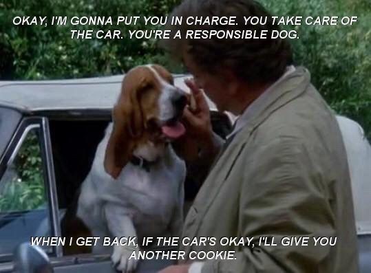 Series of four screenshots. Lieutenant Columbo talking to his basset hound, Dog, who is sticking his head out of a car window: “OKAY, I'M GONNA PUT YOU IN CHARGE. YOU TAKE CARE OF THE CAR. YOU'RE A RESPONSIBLE DOG
WHEN I GET BACK, IF THE CAR'S OKAY, I'LL GIVE YOU ANOTHER COOKIE. IF THE CAR'S GONE, I'LL GIVE YOU ANOTHER COOKIE ANYWAY BECAUSE I LOVE YOU.”