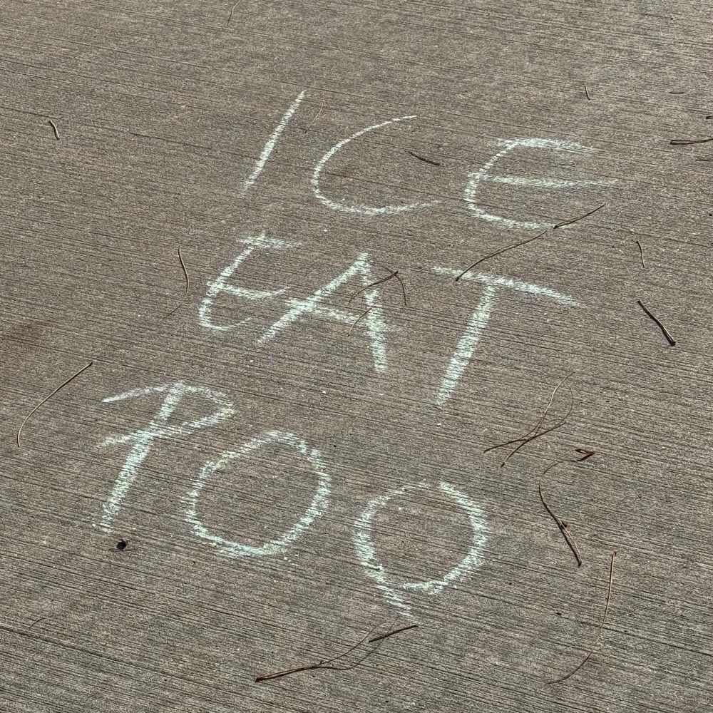 Sidewalk pavement with ICE EAT POO chalked on it
