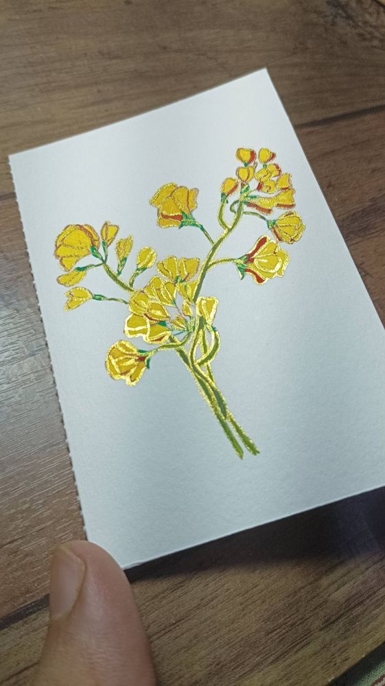 Day 4. Mustard.

Painted with green stem and yellow flowers. Have also added some red to add some texture balance and art to pop up a little. Golden color has been used over lines. 

The white paper is on  brown table, and you can also see my left thumb, at the bottom.
