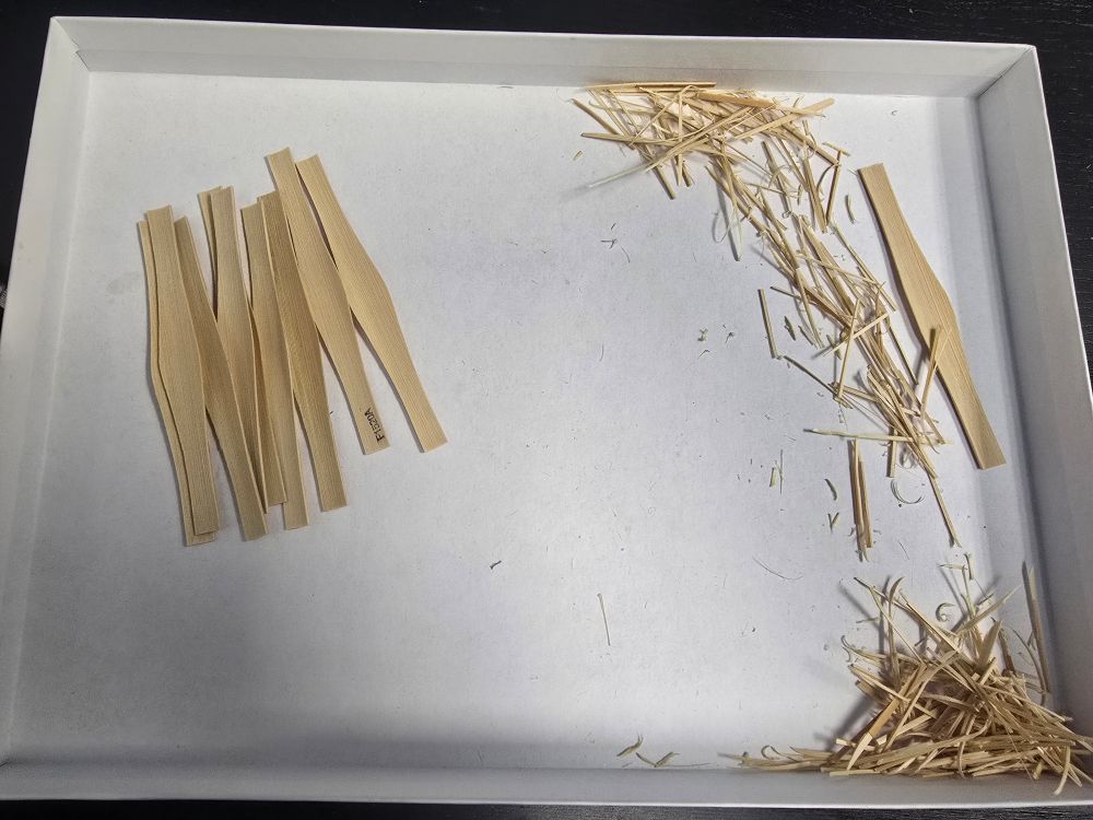 Nine pieces of freshly-shaped bassoon GSP cane on a white box lid located to the left of the image, with the resultant wood shavings and a botched piece of cane to the right.
