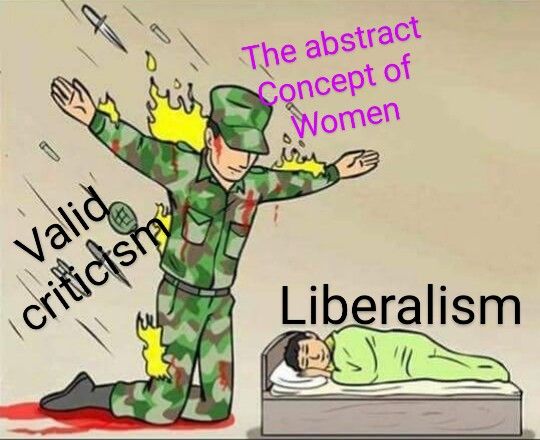 Soldier protecting sleeping child meme: 

The onslaught of weaponry is labeled "valid criticism"

The soldier is labeled "the abstract concept of women"

The child is labeled "liberalism"