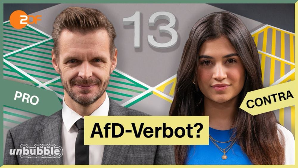 AfD als Partei verbieten? | 13 Fragen | unbubble