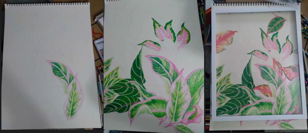 oil pastel and colored pencil art of aglaonemas with a focus on pink accents...bc it needs to match a tropical theme.