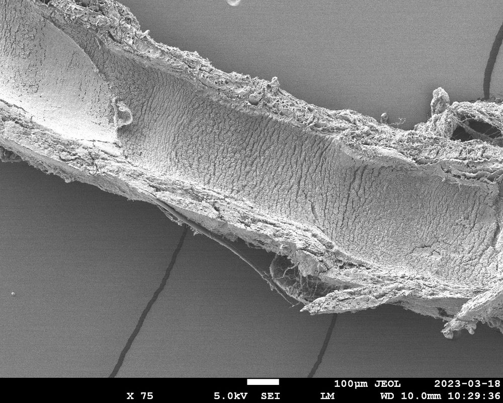 Zooming out all the way, we see the wind pipe cut open. Looks like a halved pipe