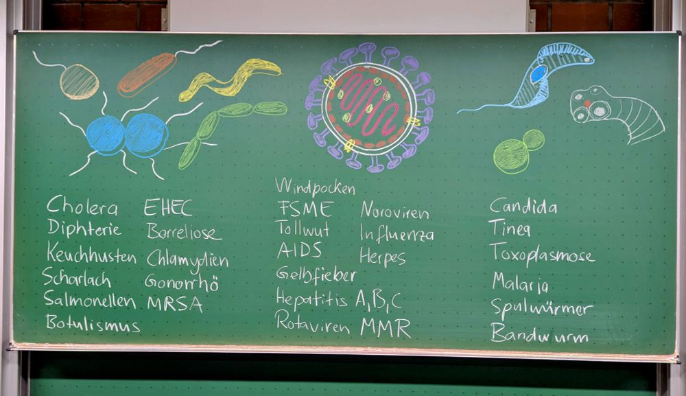 A black board with names of infectious diseases in German and colorful drawings of bacteria, viruses, and eukaryotic parasites