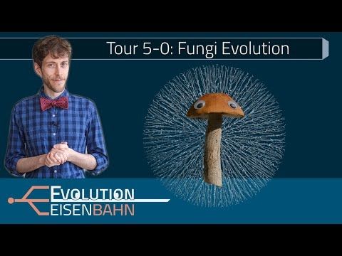 Tour 5-0: Fungi – Evolution and Mysteries