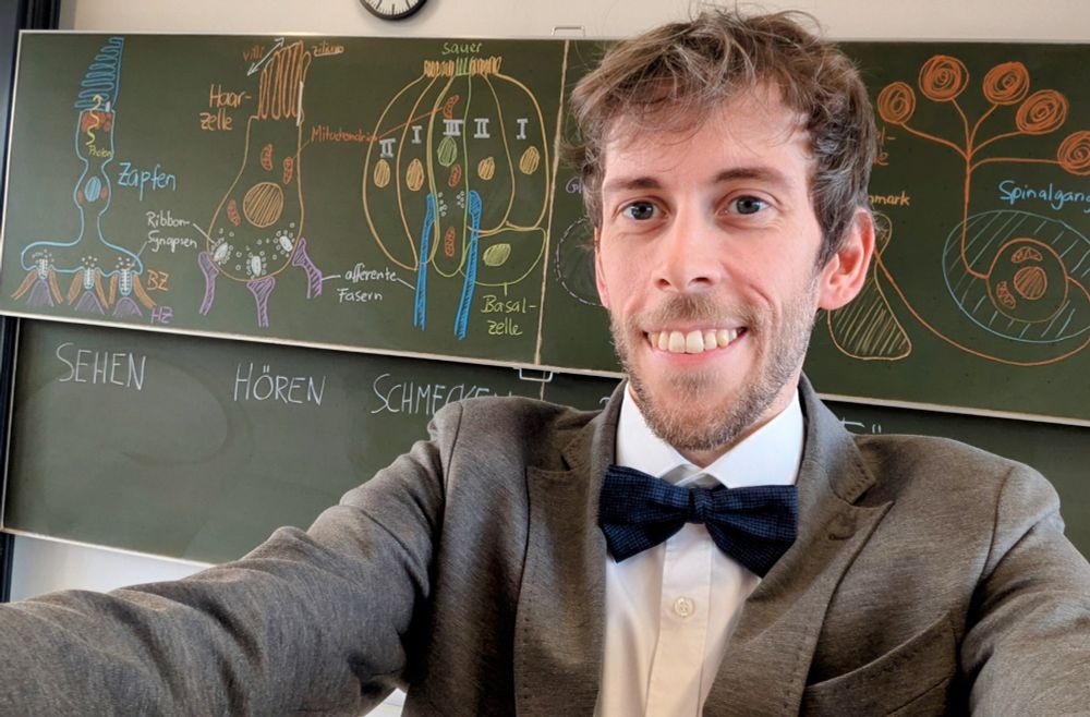 Selfie von einem Nachwuchsprofessor, der glücklich vor einer Tafel steht und eine Fliege trägt. Er hat gerade eine Vorlesung über unsere Sinne gemeistert und auf der Tafel sind Diagramme von Sinneszellen zu sehen.
