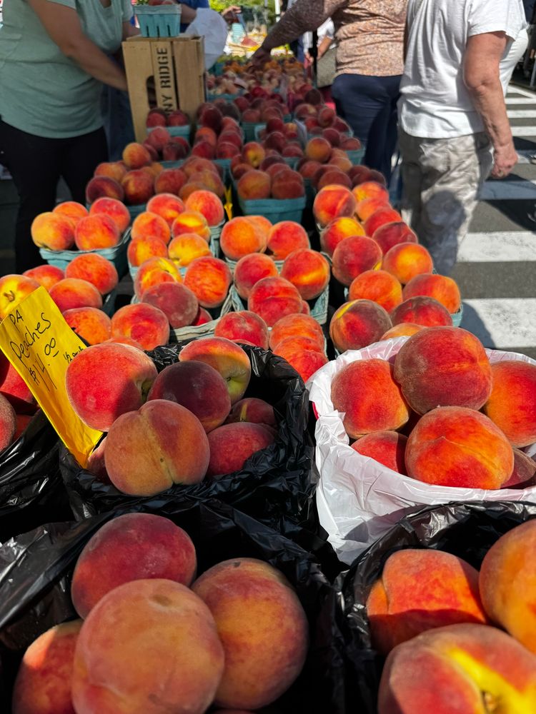 A tableau of different varieties of peaches, partially sunlit, with bushels of sugar plums in the background