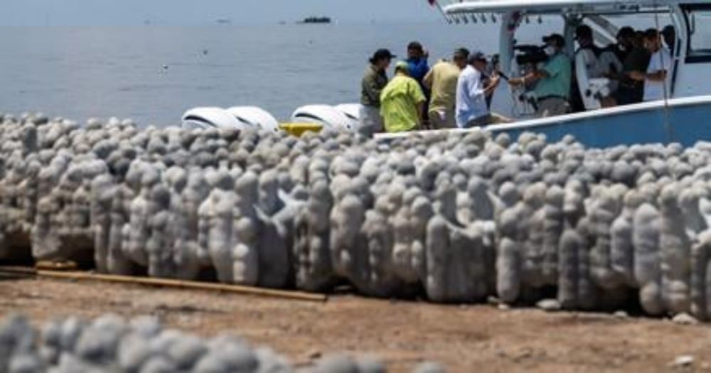 They call it 'Cajun coral.' Louisiana anglers may soon call it a fishing spot.