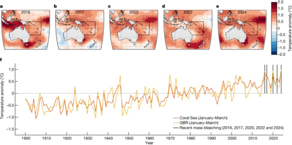 Highest ocean heat in four centuries places Great Barrier Reef in danger - Nature