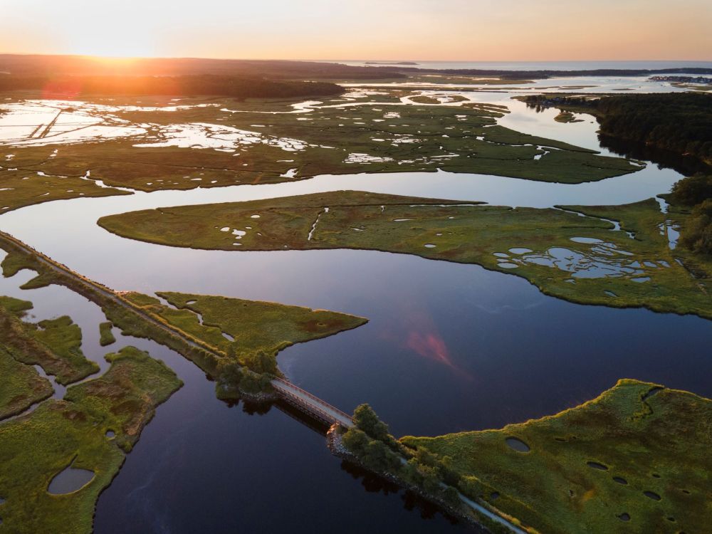 Maine’s coastal marshes are at risk as sea levels rise