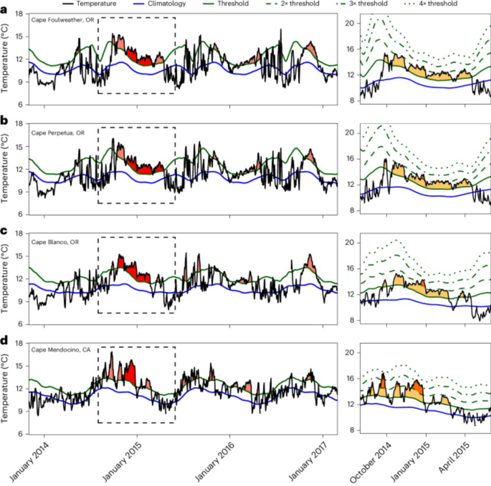 Regime shifts in rocky intertidal communities associated with a marine heatwave and disease outbreak - Nature Ecology & Evolution