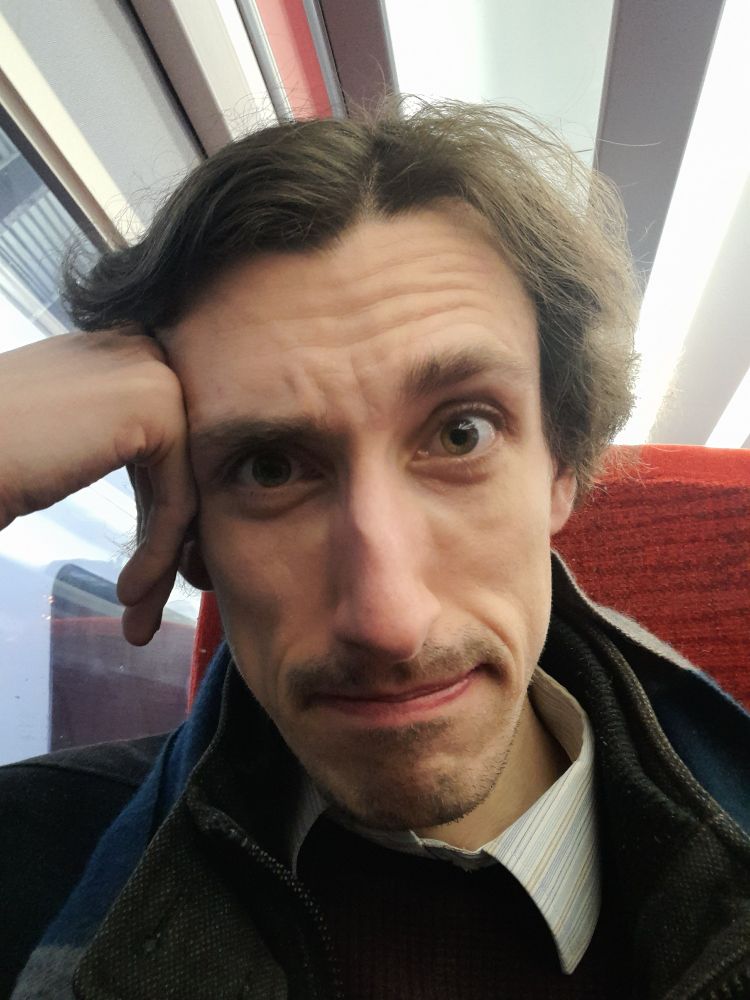 Standard train selfie.
