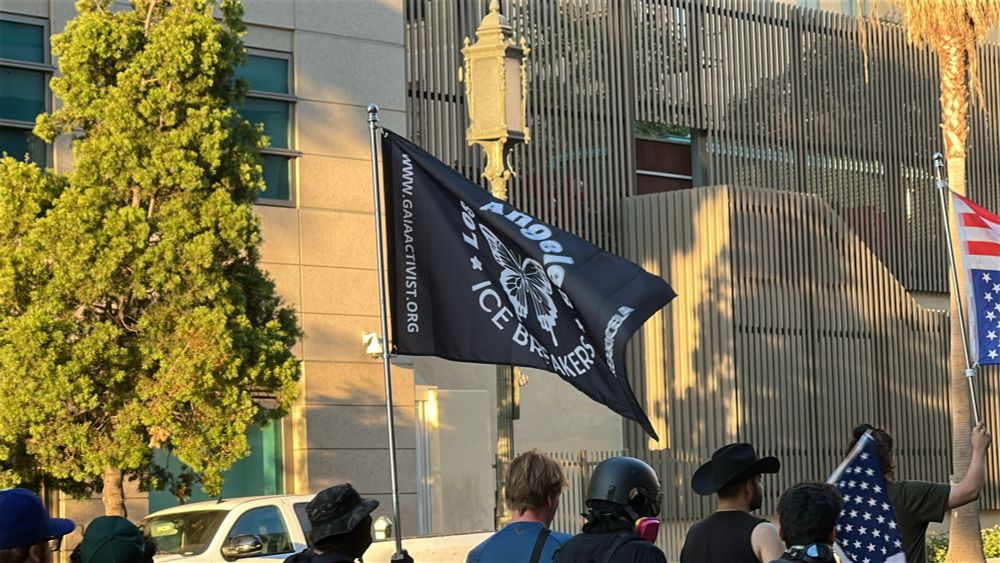 Protestors walk together carrying a black flag with a butterfly on it and the words “Los Angeles ICE Breakers”