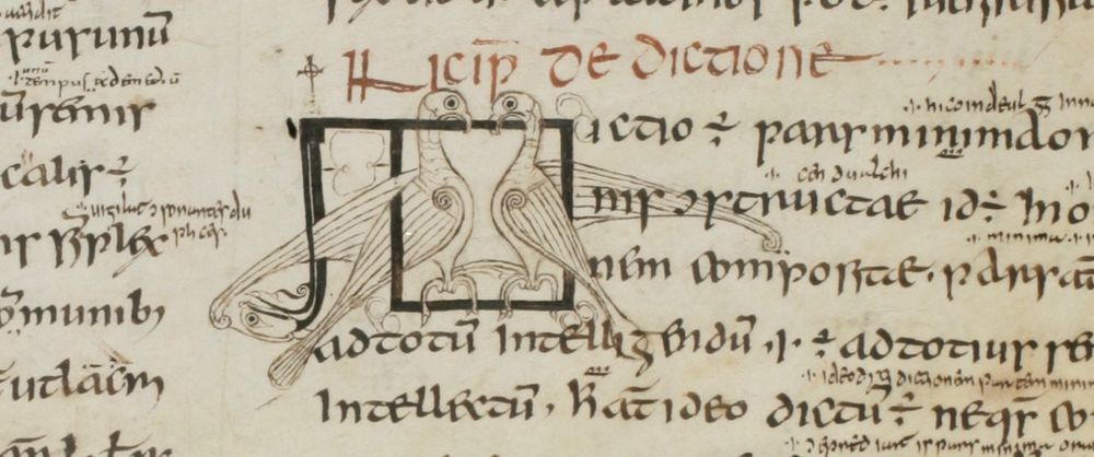 An Incipit (opening letter) with two birds from the St. Gallen manuscript Priscian Institutiones Grammaticae, Cod. Sang 904, p. 25. © Stiftsbibliothek St Gallen.