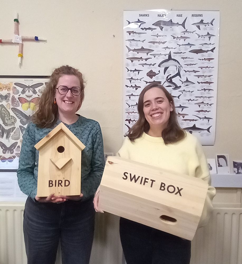 Two members of the Dead Zoo Lab education team are standing indoors, holding wooden wildlife boxes. One person holds a birdhouse labeled "BIRD," and the other holds a rectangular box labelled "SWIFT BOX." Behind them is a wall with posters of butterflies and sharks.