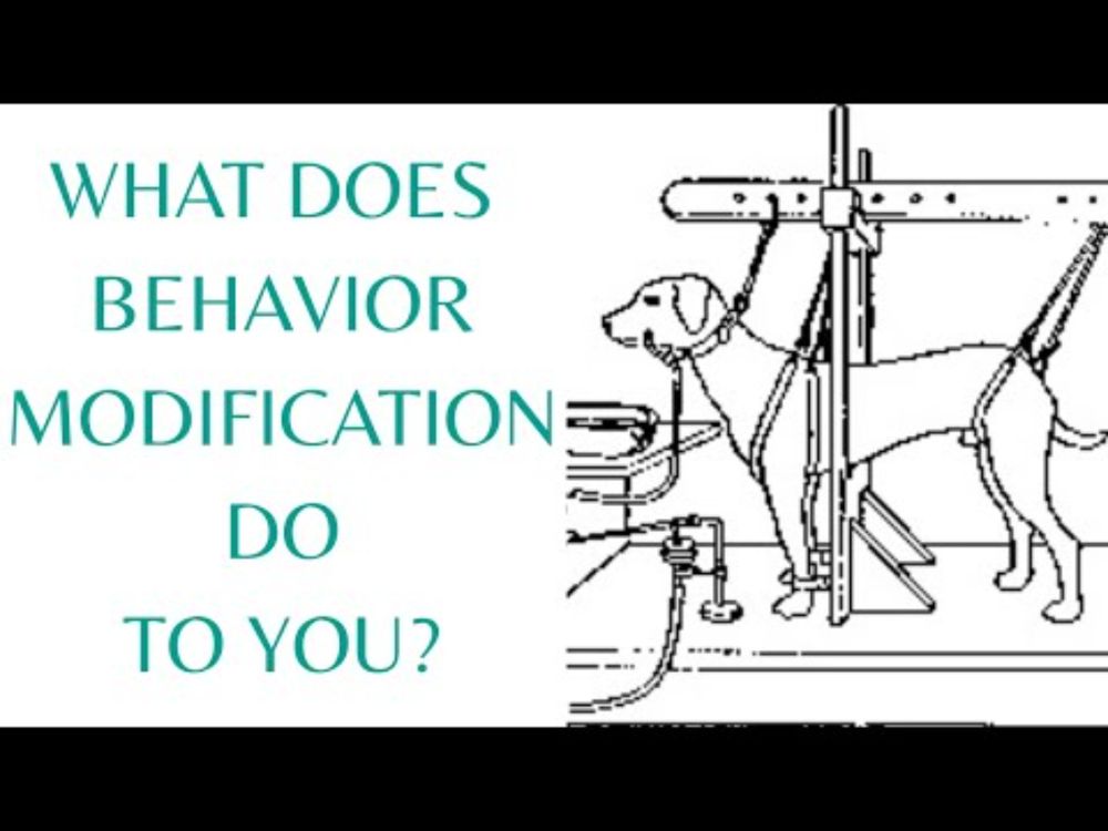 How Does Behavior Modification Affect the People It's Done To?