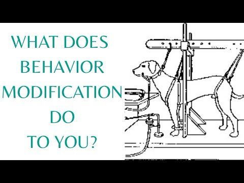 How Does Behavior Modification Affect the People It's Done To?
