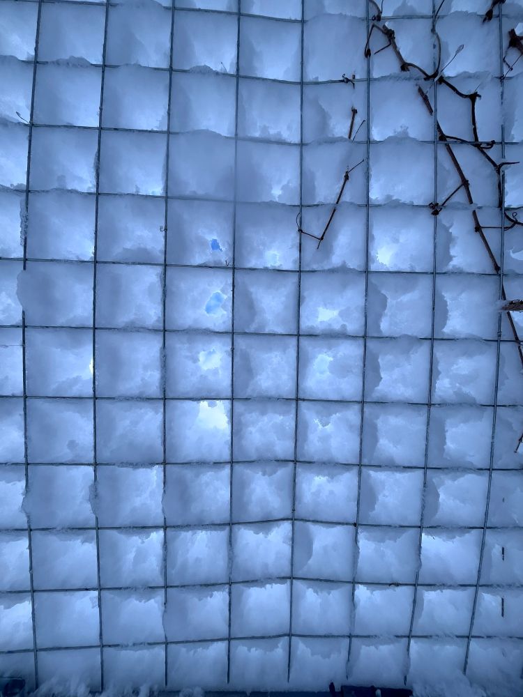 A view from below: fresh snow collected by wire grate ~ the BlueSky barely visible. 